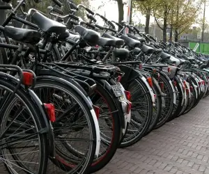 Row of bicycles