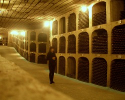 moldova milestii mici wine cellars