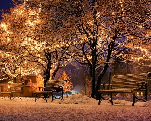 winter park scene