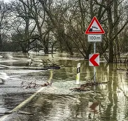 flooded cars