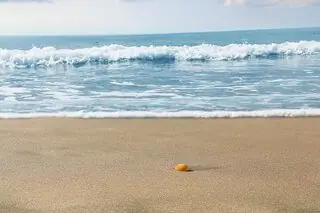 sandy beach with waves