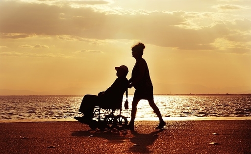 wheelchair user and companion