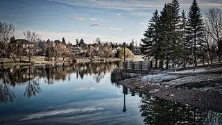 winter scene at a park with a pond