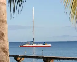 Dominica