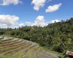 Indonesia