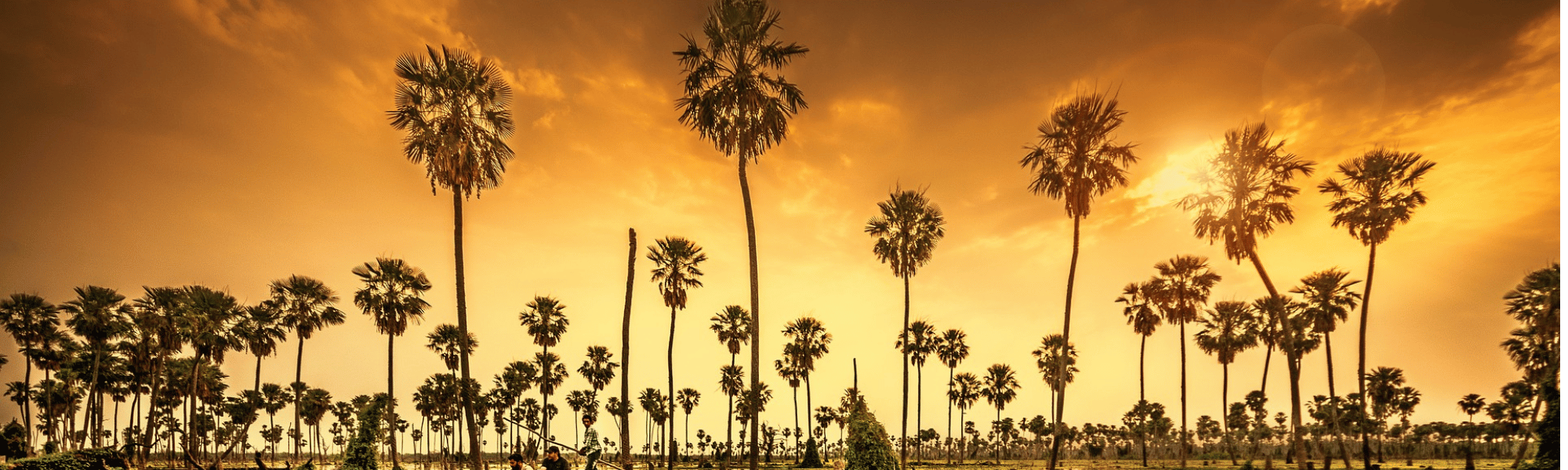 Travel Insurance Offers
